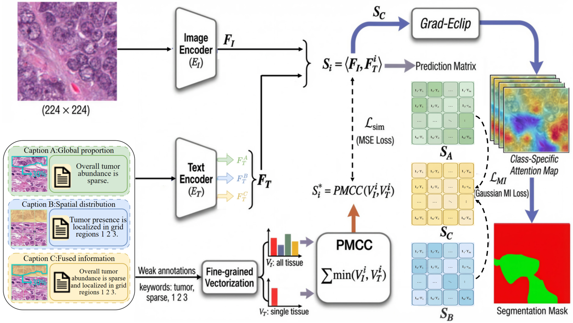 Overview of the TG-WSPIS method